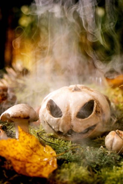 istock Jack-o-lantern in Fairy tale ambiance magical autumn forest 1396142283