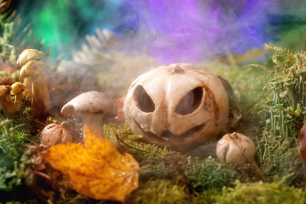 Jack-o-lantern in Fairy tale ambiance magical autumn forest