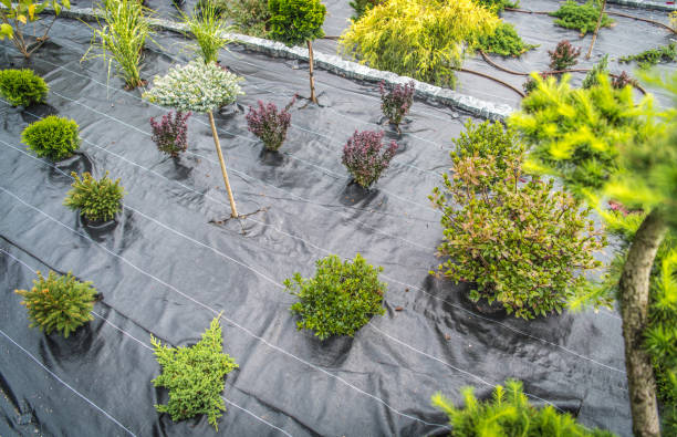 Weed Control Fabric In the Newly Created Backyard Garden