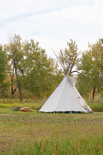 Outdoor daytime summer image of a white canvas Indigenous American Peoples teepee in a grove of deciduous trees.