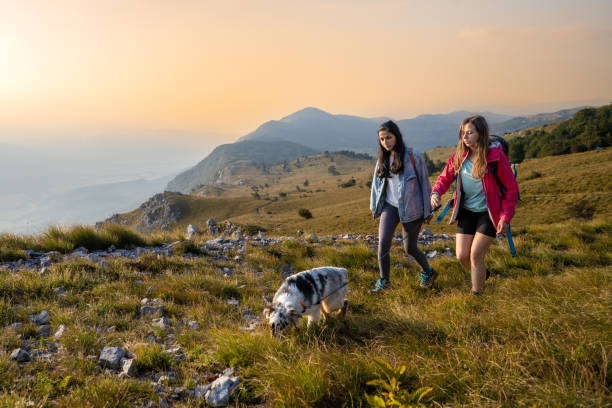 Romantic walking with dog in mountain landscape in sunset time. Spending time in nature with friends, enjoying day in mountains.