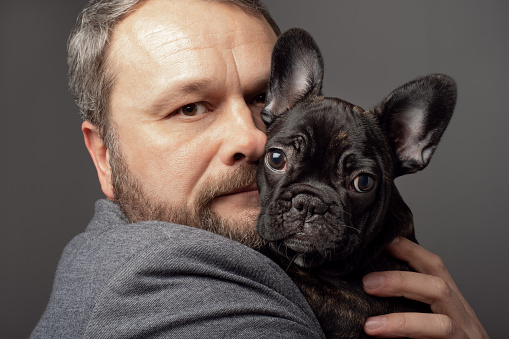 Man hugging a young Female Puppy of a French Bulldog. Concept of care, raising of animals. Close-up