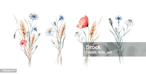 istock Watercolor wildflowers bouquets and frames with poppy, cornflower chamomile, rye and wheat spikelets background 1396161177