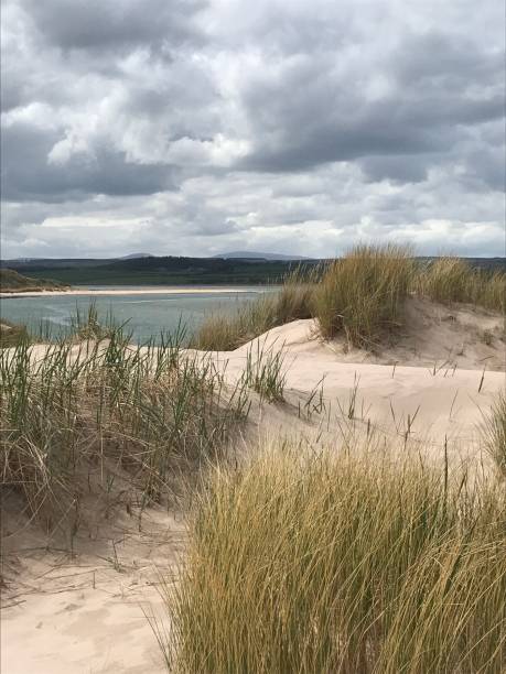 playa de arena y dunas en budle bay northumberland inglaterra reino unido - bamburgh northumberland england beach cloud fotografías e imágenes de stock