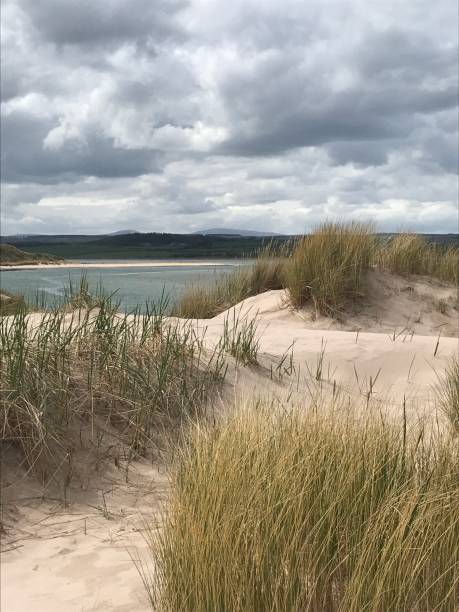 spiaggia sabbiosa e dune a budle bay northumberland inghilterra regno unito - bamburgh northumberland england beach cloud foto e immagini stock