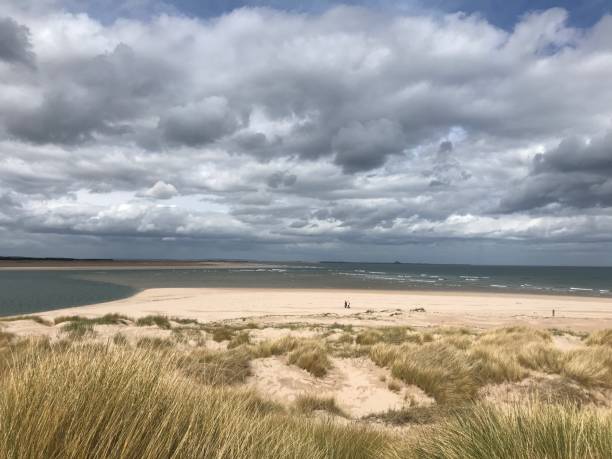 spiaggia sabbiosa e dune a budle bay northumberland inghilterra regno unito - bamburgh northumberland england beach cloud foto e immagini stock