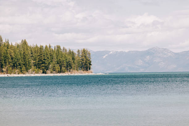 Shoreline view of Shaver Lake, with tree stump in foreground and clouds in the far distance.\n\nTaken at Shaver Lake, Sierra Nevada, California, United States
