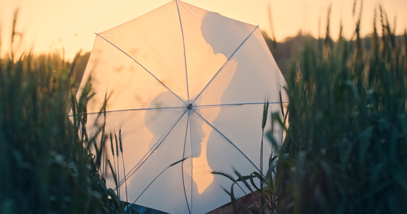 Silhouette of a pregnant woman in a field with her husband behind an umbrella in the countryside as he kisses her stomach. Happy couple enjoying a relaxing maternity leave in nature