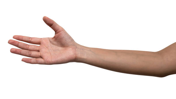 istock Woman hand reach and ready to help or receive. Gesture isolated on white background. 1396185499