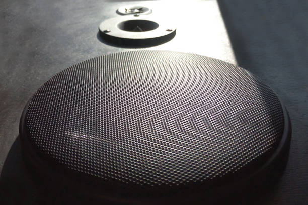 istock Acoustic speaker black close-up 1396190685