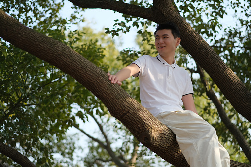 Young Asian man leaning against big tree, looking up in Autumn season forest, nature surrounding him with trees and light shining background with little smile and feel freshness, people responsibility to nature concept.