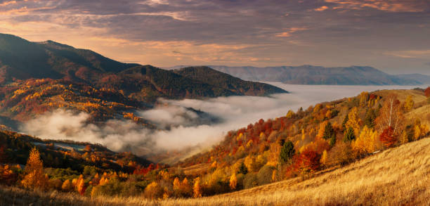 istock Ukraine. A magical autumn sunrise, with mist creeping over valleys, over mountain formations far from civilization. Synevyr pass located in the Carpathian mountains. 1396197763