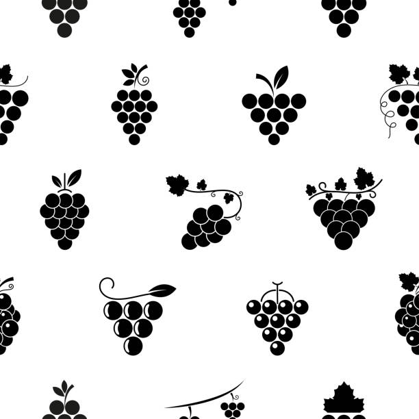 illustrations, cliparts, dessins animés et icônes de motif sans couture avec grappe de raisin. signe noir raisin sur fond blanc. icône plate berry. design moderne pour l’impression sur tissu, papier d’emballage, papier peint, emballage. illustration vectorielle - grape nature design berry fruit