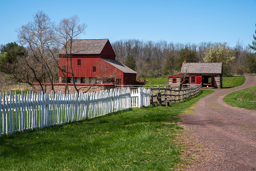 Idyllic colonial Pennsylvania scene with a red wooden barn, and log cabin in the bvcakground and a long path with a white picket fence. Idyllic village landscape with copy space and no people shot in natural sunlight.