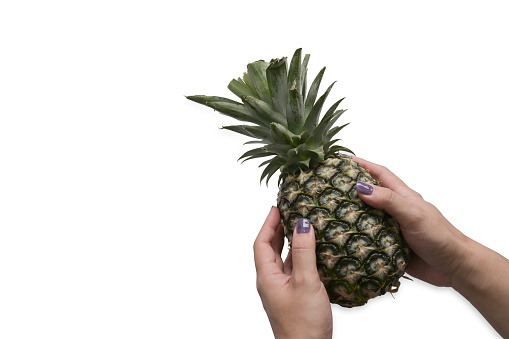 Hands holding pineapple on white background with copy space. Summer, tropical fruit concept.