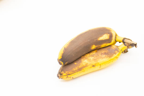 ripe darkened little bananas on a white background. Spoiled bananas