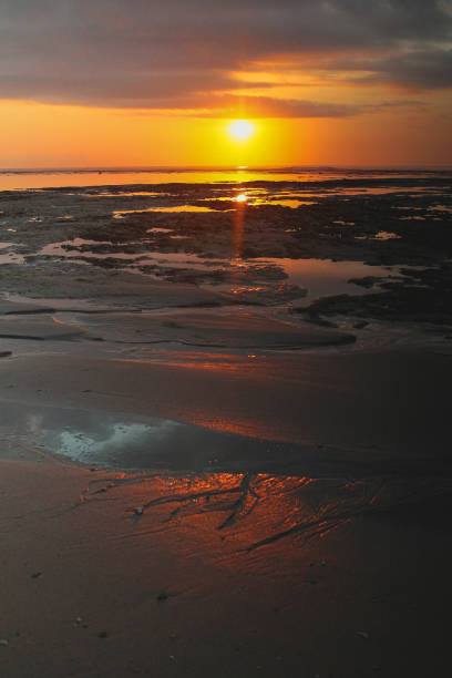 istock Sunrise in the Beach 1396204203