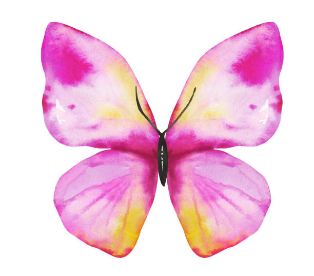 istock Watercolor ornamental tropical hand drawn insect 1396205318