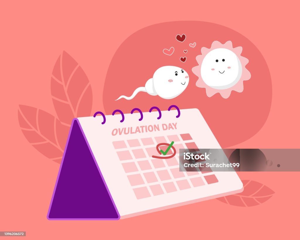 Ovulation Concept Hand Mark Ovulation Date On Calendar With Sperm And Egg  Cartoon Character Vector Illustration Stock Illustration - Download Image  Now - iStock