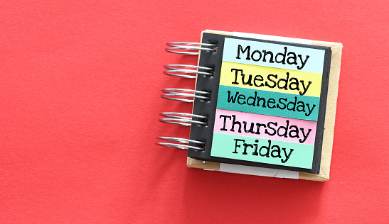 Days of the week, Monday, Tuesday, Wednesday, Thursday, Friday. Saved in a notebook on colored sheets.