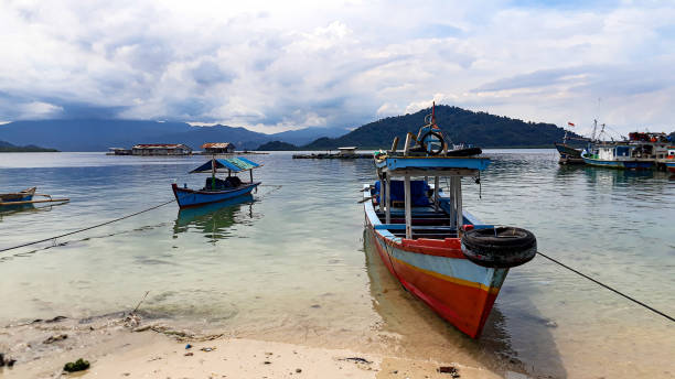istock Ketinting on Pahawang Lampung Island Beach 1396211085