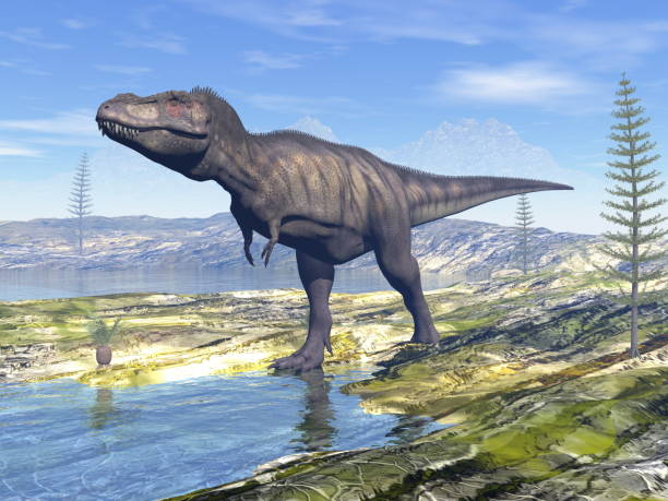istock Tyrannosaurus rex t-rex dinosaur in the desert - 3D render 1396211403