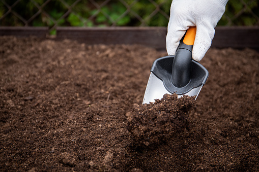 Diging the soil with a garden shovel in human hand. Gardening.