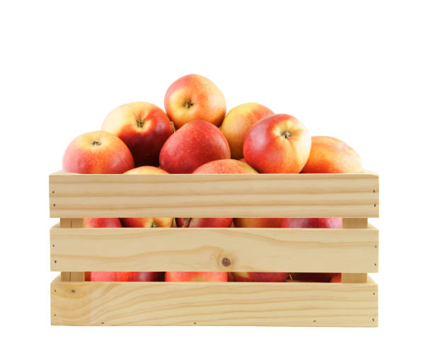 istock Wooden crate with red apples isolated on white 1396217826