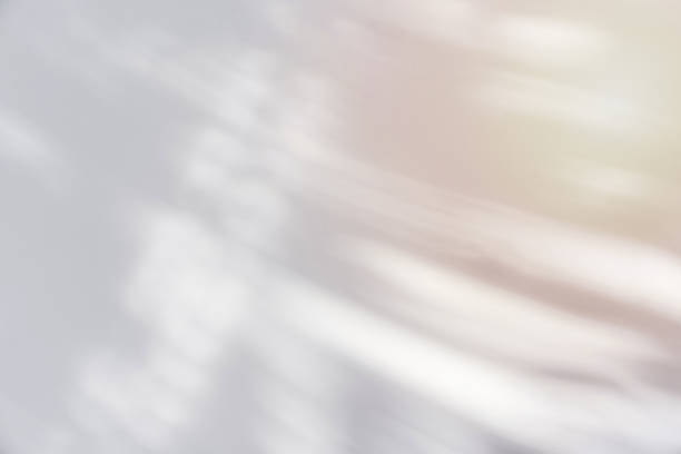 istock Shadow of palm leave on white background and textured 1396220596