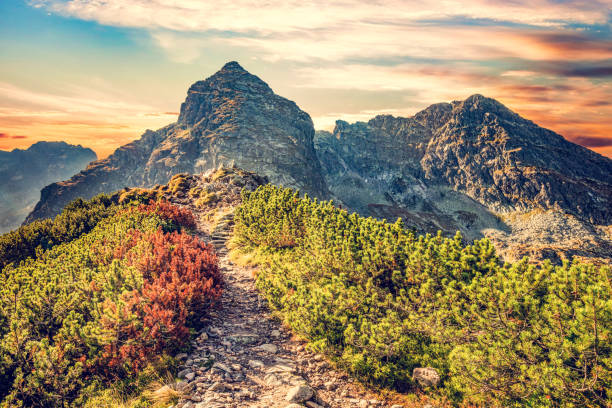 Mountains landcape at sunset. Koscielec peak in Tatra mountains, Poland. Czarny Staw Gasienicowy lake