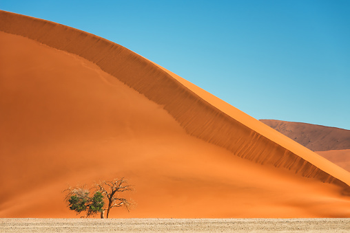Dune 45 is a star dune in the Sossusvlei area of the Namib in Namibia. The sand dune is 80 m to 170 m high and consists of five million years old sand.