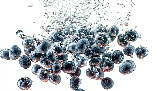 Close-up of blueberries in water against white background.