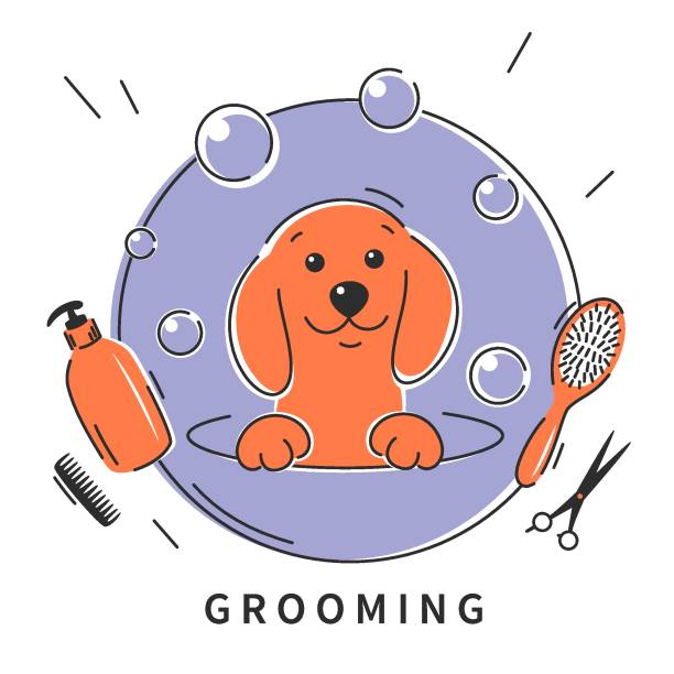 Grooming 19 Dog pet grooming. Animal hair grooming salon logo, haircuts, bathing. Cartoon dog taking a bath full of soapy suds.Vector illustration pomeranian dog taking a bath stock illustrations