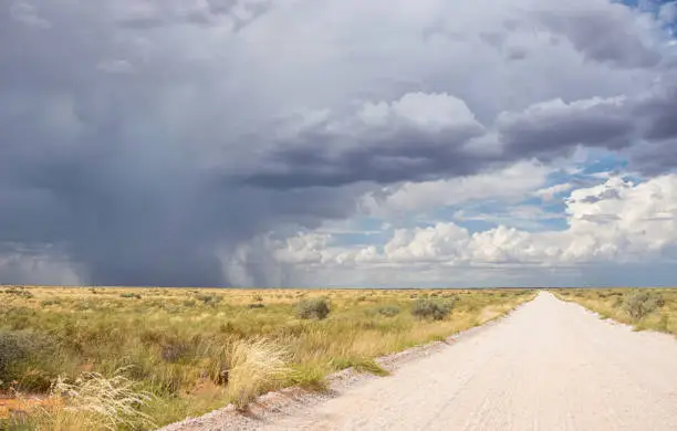 Rainclouds over the Kgalagadi, Southern Africa