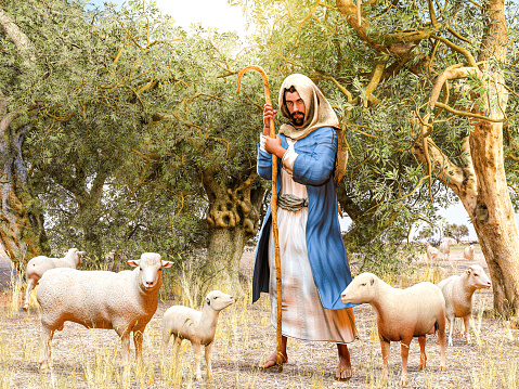 Bible shepherd and his flock of sheep in an Olive Grove, 3d render.