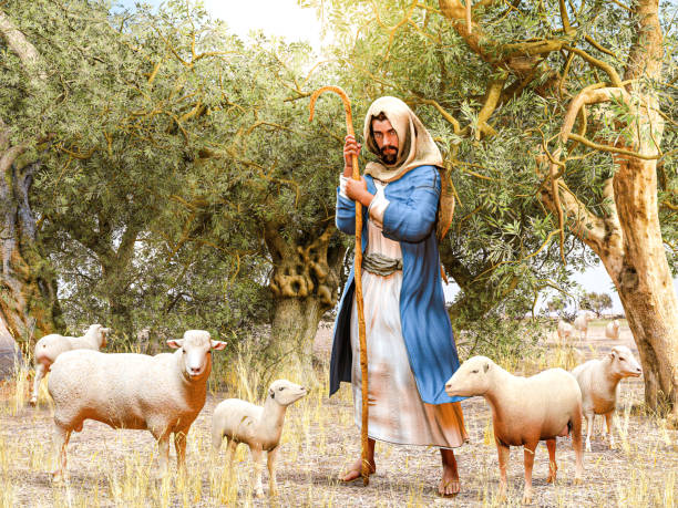 Bible shepherd and his flock of sheep in an Olive Grove Bible shepherd and his flock of sheep in an Olive Grove, 3d render. sheep farmer stock pictures, royalty-free photos & images