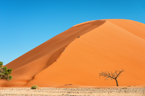 Dune 45 is a star dune in the Sossusvlei area of the Namib in Namibia. The sand dune is 80 m to 170 m high and consists of five million years old sand.
