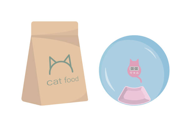 ilustrações, clipart, desenhos animados e ícones de comida de gato e alimentador - domestic cat indoors domestic life image