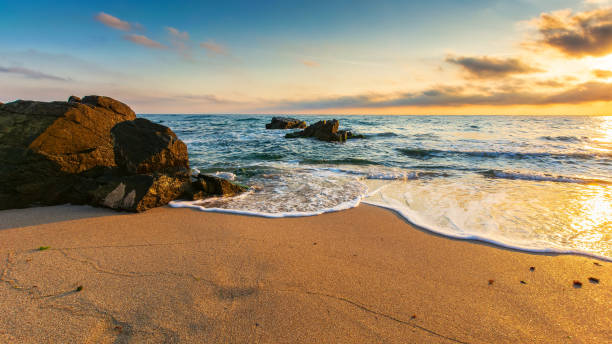 istock rocks on a sandy beach in morning light 1396244420