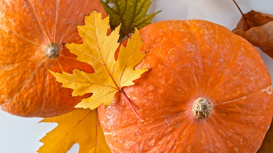 Close-up of pumpkin with maple leaf on white background.