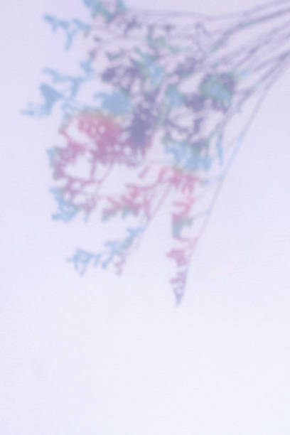 istock Colorful Plant Shadow and Copy Space 1396248989