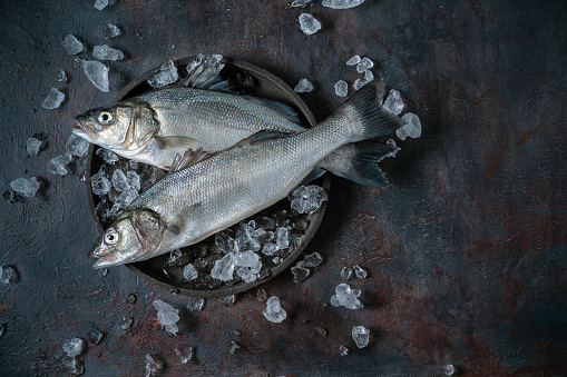 Raw Seabass fish Robalo fresh seafood on dark moody gray background and ice