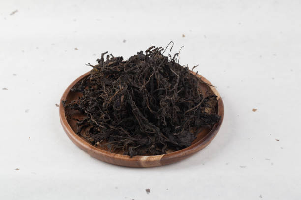 istock Gondrenamul, Gondre, Herb Rice, Herbs 1396253927