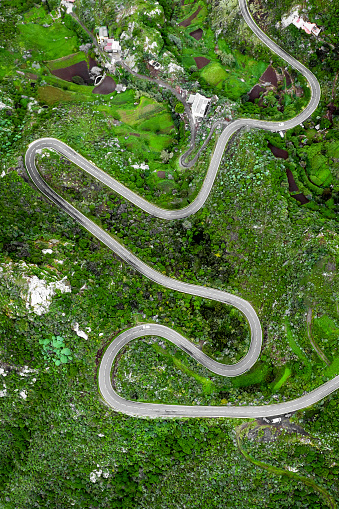 The winding road through the green mountain park