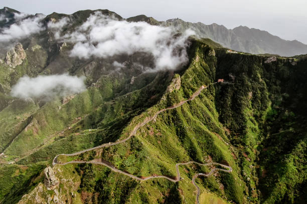 извилистая дорога через зеленые горы в сельском парке анага, тенерифе, канарские острова. - anaga стоковые фото и изображения