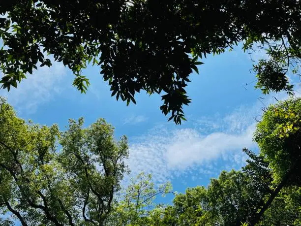 Photo of Look up and see a heart shape sky