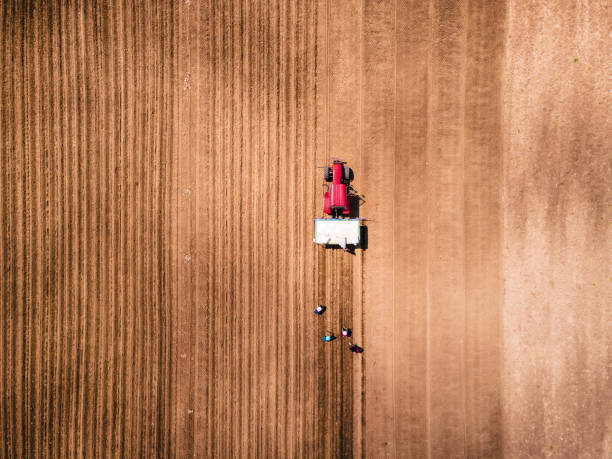 luftaufnahme von traktorpflügen und landwirten, die ein landwirtschaftliches feld säen. - green crop tractor planting stock-fotos und bilder