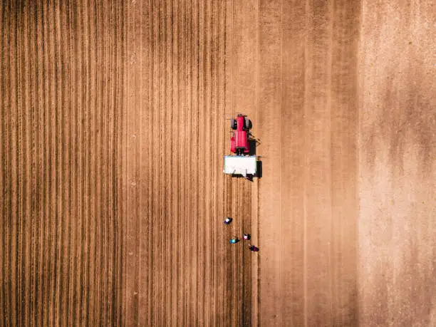Photo of Aerial view of tractor plowing and farmers sowing an agricultural field.