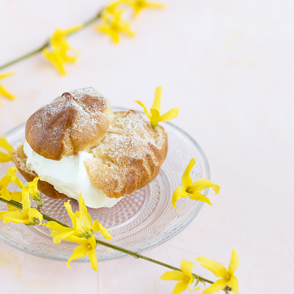 Choux Bun with whipped cream and sugar powder on top on glass plate. Pink background with spring yellow flowers. Delicate choux pastry dessert. French cream puff. Close-up, copy space
