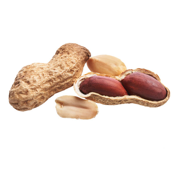 istock Bunch of peanuts isolated on a white background 1396263682